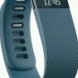 Fitbit Charge Activity Tracker - Slate - Large (FB404SLL) with all accessories