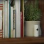 D-Link WiFi Security Camera HD, Mini Indoor, 2-Pack, Cloud Recording, Motion...