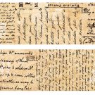 Washi Tape / SCRIPT