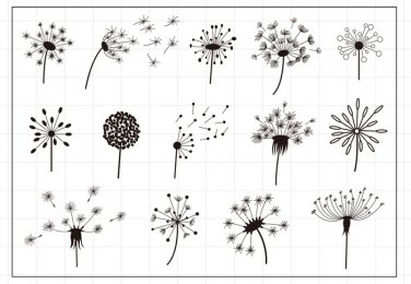 Clearstamp pack / Flowers