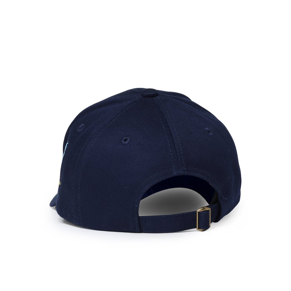 Cheap Baseball Caps for Sale Butterfly Embroidered Blue Snapback Cotton