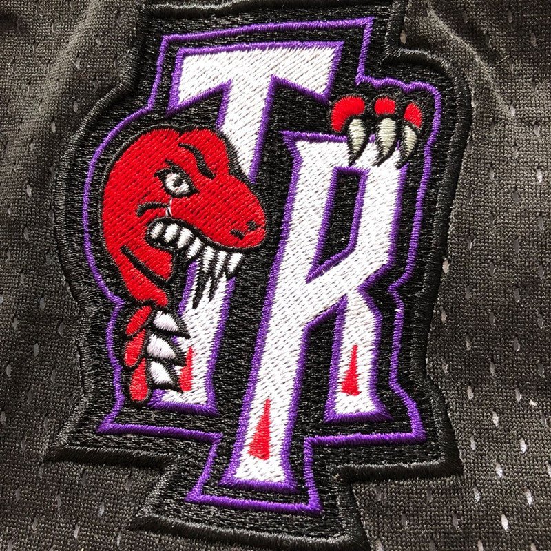 toronto raptors just don shorts