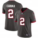 Men's Tampa Bay Buccaneers #2 Emeka Egbuka New Gray 2025 Draft Vapor Jersey