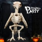 Skeleton Raven Plastic Animal Skeleton Bones for Horror Halloween Decoration