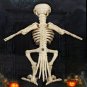 Skeleton Raven Plastic Animal Skeleton Bones for Horror Halloween Decoration