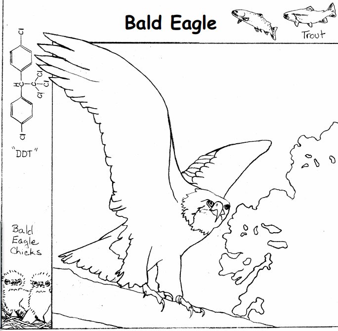 Endangered Species Learning Coloring Book --eBook-- (pdf) Animal