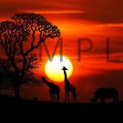 Photograph Wallpaper Digital Picture Desktop Background Art Image [Download]