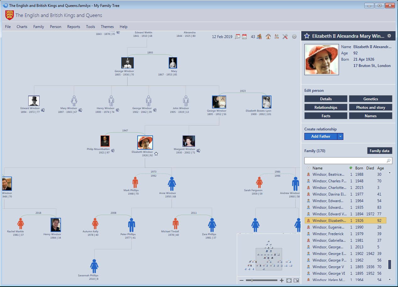 reunion family tree for windows