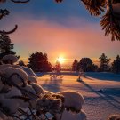 Photograph Wallpaper Digital Picture Desktop Background Art Image [Download]