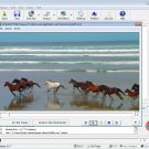 AVStoDVD Video Converter Software for Windows [Download]