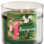 Bath & Body Works Evergreen Three Wick 14.5 Ounces Scented Candle