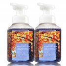 Bath & Body Works Crisp Morning Air Gentle Foaming Hand Soap - 1 Set of 2
