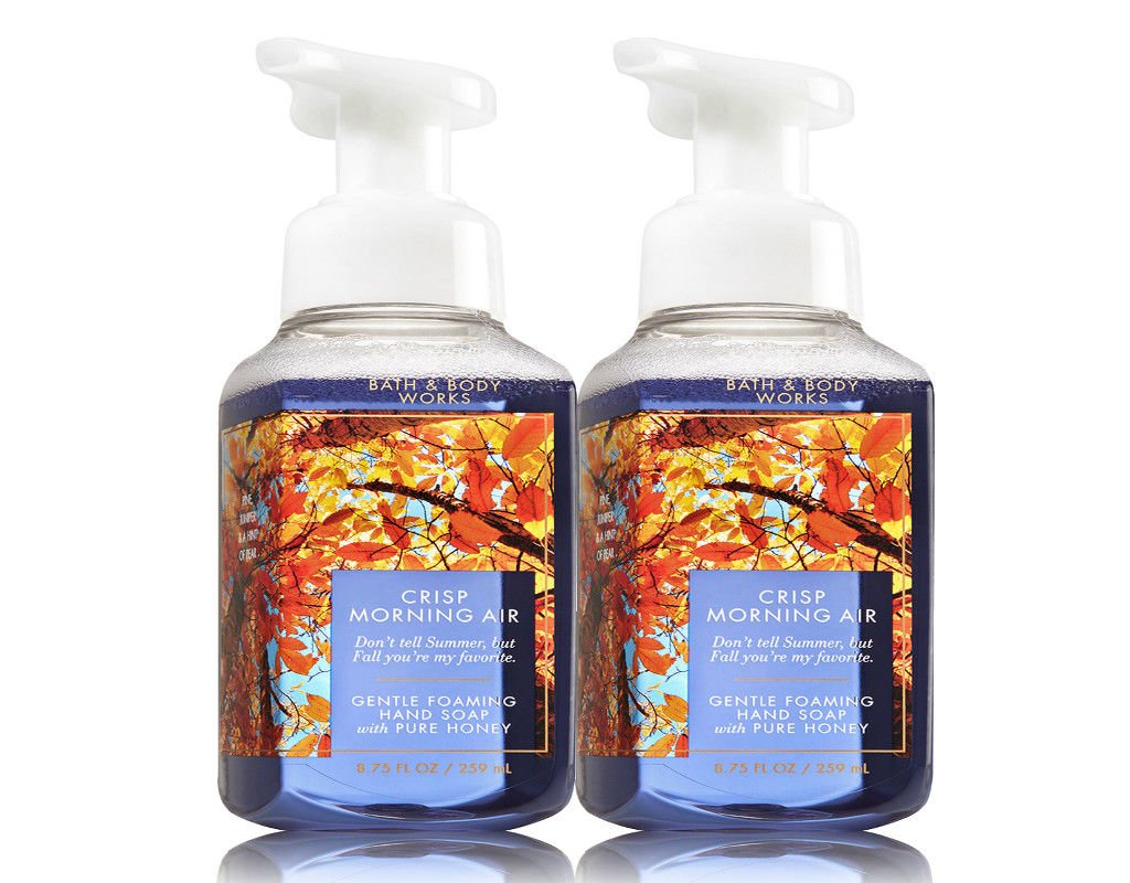 Bath & Body Works Crisp Morning Air Gentle Foaming Hand Soap 1 Set of 2