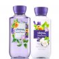 Bath & Body Works Lavender & Spring Apricot Body Lotion + Shower Gel Duo Set
