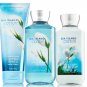 Bath & Body Works Sea Island Cotton Trinity Gift Set