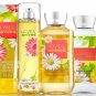 Bath & Body Works Love & Sunshine Deluxe Gift Set