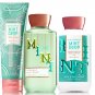 Bath & Body Works Coconut Mint Drop Trinity Gift Set