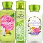 Bath & Body Works Sweet Magnolia & Clementine Trio Gift Set