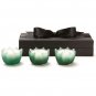 D.L. & Co. Hemlock Rare Botanic -1 Set of 3 - Votive Scented Candles Gift Set