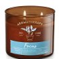 Bath & Body Works Aromatherapy Eucalyptus & Tea Three Wick 14.5 Ounces Candle