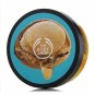 The Body Shop Wild Argan Oil 6.8 Ounces Body Butter