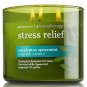 Bath & Body Works Eucalyptus Spearmint Three Wick 14.5 Ounces Scented Candle