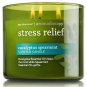 Bath & Body Works Eucalyptus Spearmint Three Wick 14.5 Ounces Scented Candle