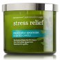 Bath & Body Works Eucalyptus Spearmint Three Wick 14.5 Ounces Scented Candle