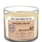 Bath & Body Works Test Lab Blend No.017 Pimento Wood 14.5 Ounces Candle