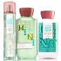 Bath & Body Works Coconut Mint Drop Trio Gift Set