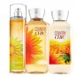 Bath & Body Works Country Chic Trio Gift Set
