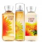 Bath & Body Works Country Chic Trio Gift Set