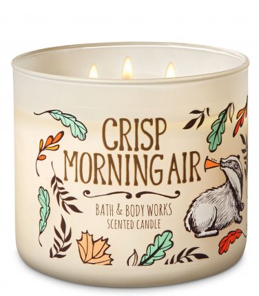 Bath & Body Works Crisp Morning Air Three Wick 14.5 Ounces Scented Candle