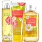 Bath & Body Works Love & Sunshine Trilogy Set