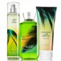 Bath & Body Works Coconut Lime Breeze Trilogy Set