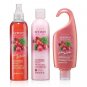 Avon Senses Festive Cranberry & Cinnamon Trinity Gift Set