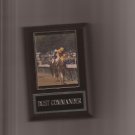 DUST COMMANDER PLAQUE HORSERACING HORSE RACING TURF