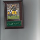 JULIUS PEPPERS PLAQUE GREEN BAY PACKERS FOOTBALL NFL