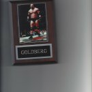 GOLDBERG PLAQUE WRESTLING NWA WWF WCW WWE