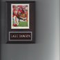 LAKE DAWSON PLAQUE KANSAS CITY CHIEFS KC FOOTBALL NFL