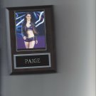 PAIGE PLAQUE WRESTLING WWE DIVA