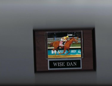 WISE DAN PLAQUE HORSERACING HORSE RACING TURF