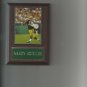 AARON RODGERS PLAQUE GREEN BAY PACKERS FOOTBALL NFL