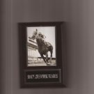 SMARTY JONES WINNING PREAKNESS PLAQUE HORSERACING HORSE RACING TURF
