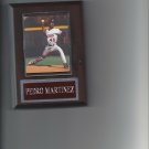 PEDRO MARTINEZ PLAQUE MONTREAL EXPOS BASEBALL MLB