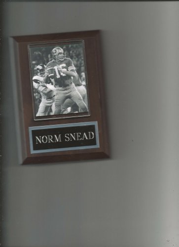 NORM SNEAD PLAQUE SAN FRANCISCO FORTY NINERS 49ers FOOTBALL NFL