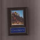 CHARISMATIC PLAQUE HORSERACING HORSE RACING TURF