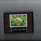 ANDY DALTON PLAQUE CINCINNATI BENGALS FOOTBALL NFL