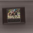 ZENYATTA PLAQUE HORSERACING HORSE RACING TURF
