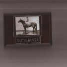 NATIVE DANCER PLAQUE HORSERACING HORSE RACING TURF